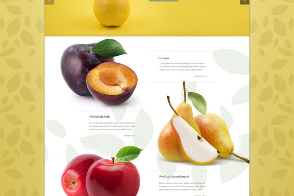 dzerikom-webdesign