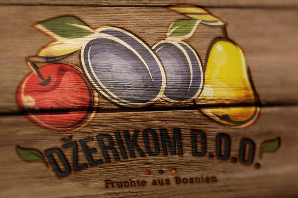 dzerikom - logo design